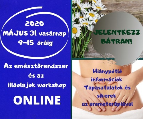 emésztőrendszeri workshop