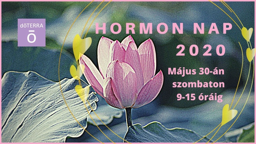 hormonrendszeri workshop