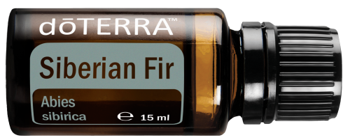 Egészségtippek - a szuper hurutoldó szibériai fenyő Siberian Fir_15ml