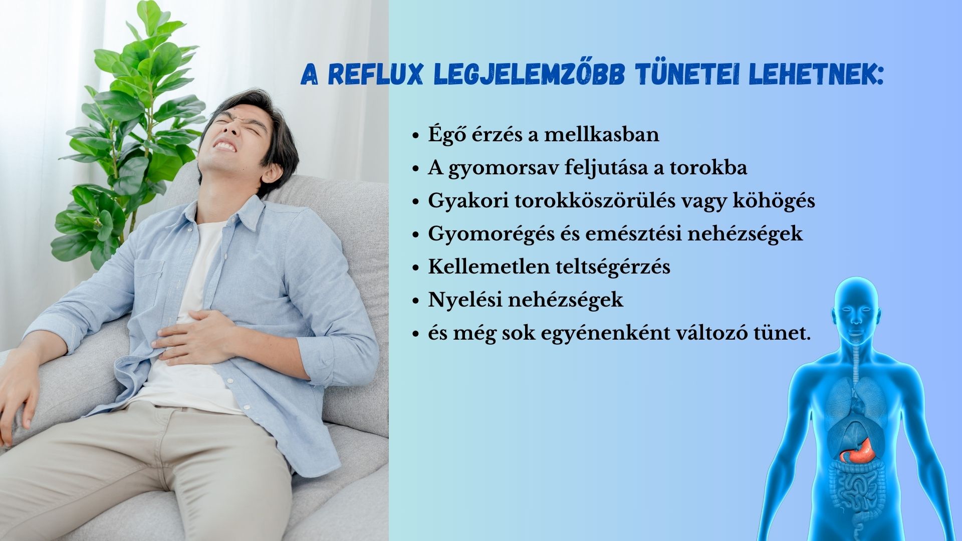 A REFLUX TÜNETEI JAV