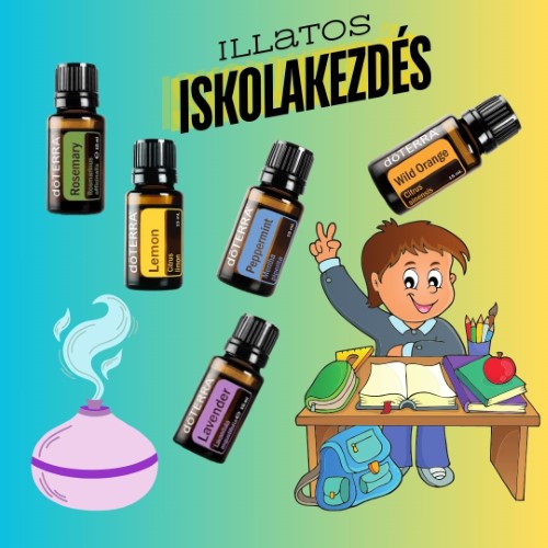 ISKOLAKEZDÉS (Egyedi)